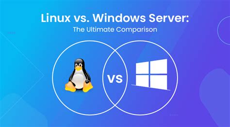 hosting linux server web window.
